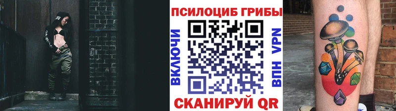 Псилоцибиновые грибы GOLDEN TEACHER  Тайга 
