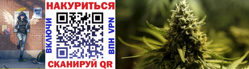 Бошки Шишки индика  Тайга 